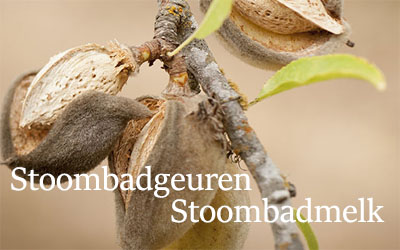 stoombadgeur-saunaspul.nl